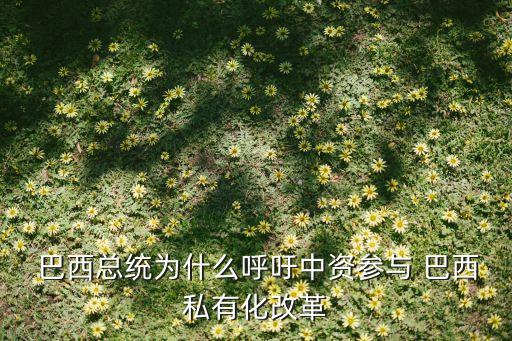 巴西的中國企業(yè),巴西中國企業(yè)家協會陳篤慶簡歷
