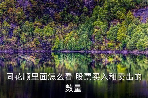 同花順里面怎么看 股票買(mǎi)入和賣(mài)出的數(shù)量