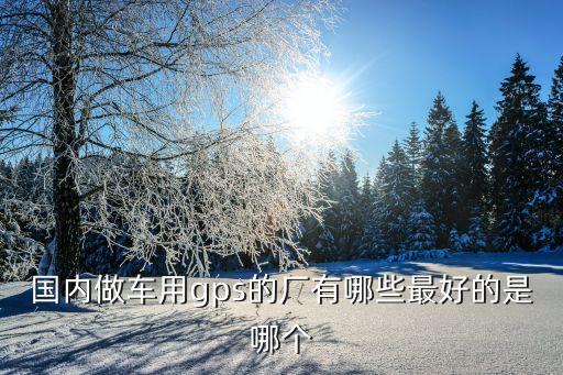 國內做車用gps的廠有哪些最好的是哪個