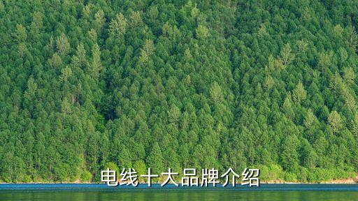 上海南洋電纜集團總經理,新加坡南洋國際集團總經理