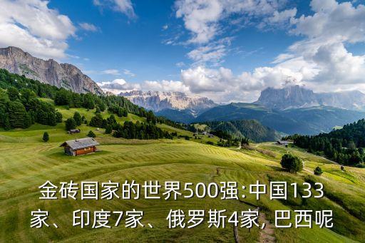 金磚國家的世界500強(qiáng):中國133家、印度7家、俄羅斯4家, 巴西呢