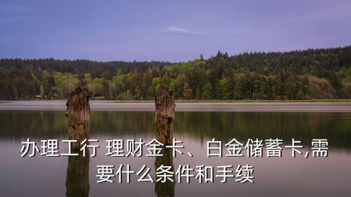 辦理工行 理財(cái)金卡、白金儲(chǔ)蓄卡,需要什么條件和手續(xù)