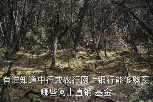 有誰知道中行或農行網上銀行能夠購買哪些網上直銷 基金