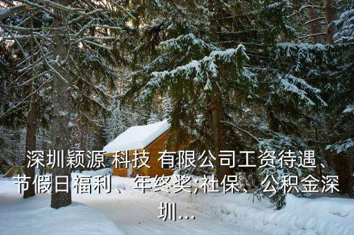深圳穎源 科技 有限公司工資待遇、節(jié)假日福利、年終獎(jiǎng);社保、公積金深圳...
