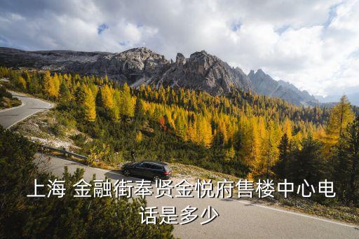  上海 金融街奉賢金悅府售樓中心電話(huà)是多少