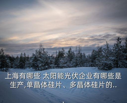 上海有哪些 太陽(yáng)能光伏企業(yè)有哪些是生產(chǎn),單晶體硅片、多晶體硅片的...