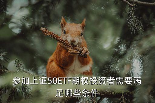 參加上證50ETF期權(quán)投資者需要滿(mǎn)足哪些條件