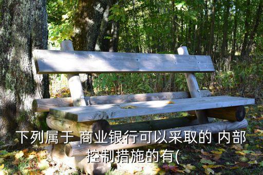 商業(yè)銀行公司內部控制