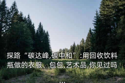 探路“碳達(dá)峰,碳中和”:用回收飲料瓶做的衣服、包包,藝術(shù)品,你見過嗎...