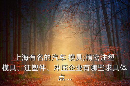  上海有名的汽車 模具;精密注塑 模具、注塑件、沖壓企業(yè)有哪些求具體點(diǎn)...