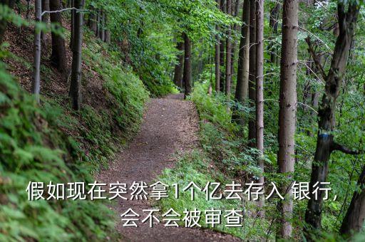 假如現在突然拿1個億去存入 銀行,會不會被審查