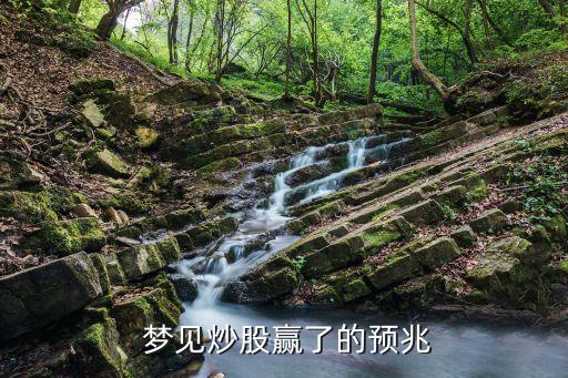 夢(mèng)見(jiàn)股票賺錢(qián),做夢(mèng)夢(mèng)見(jiàn)股票賺錢(qián)了
