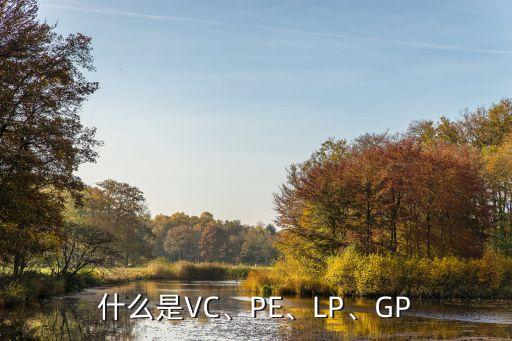 什么是VC、PE、LP、GP