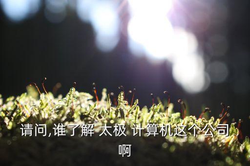 請問,誰了解 太極 計算機(jī)這個公司啊