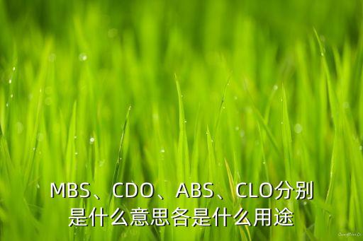 MBS、CDO、ABS、CLO分別是什么意思各是什么用途