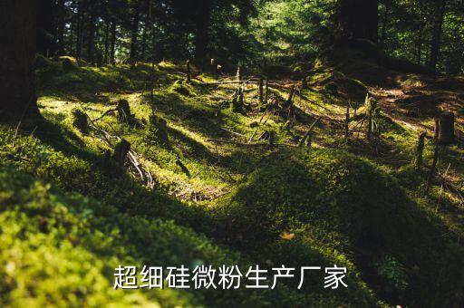 超細(xì)硅微粉生產(chǎn)廠(chǎng)家