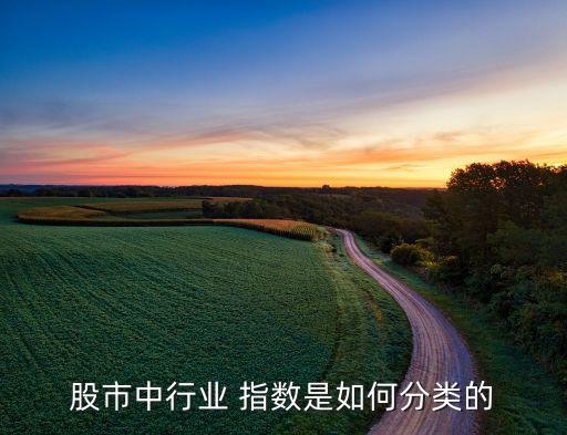股票行業(yè)指數怎么看,股票相對強弱指數怎么看