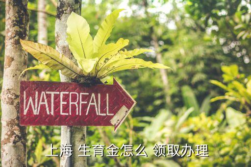  上海 生育金怎么 領取辦理