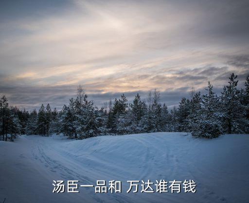 萬達(dá)集團2014年凈利潤