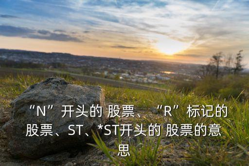 “N”開頭的 股票、“R”標(biāo)記的 股票、ST、*ST開頭的 股票的意思