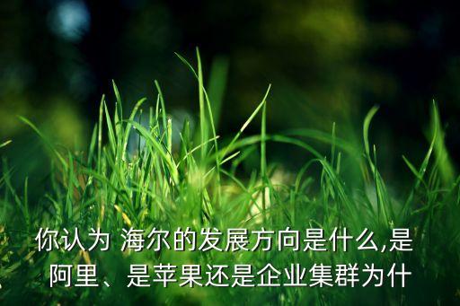 你認(rèn)為 海爾的發(fā)展方向是什么,是 阿里、是蘋(píng)果還是企業(yè)集群為什