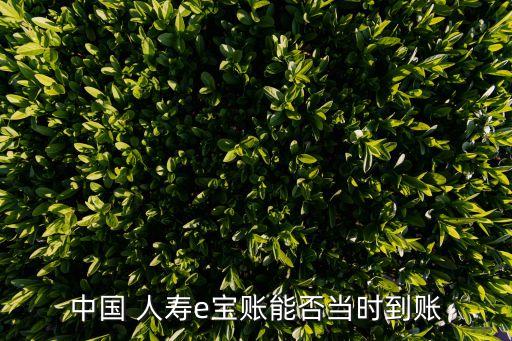 中國(guó)人壽借款委托書