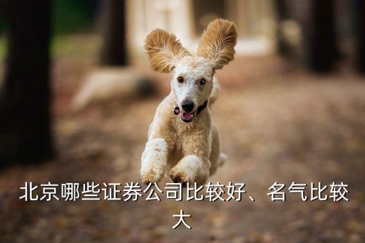  北京哪些證券公司比較好、名氣比較大