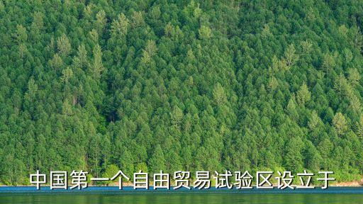 中國第一個自由貿(mào)易試驗(yàn)區(qū)設(shè)立于