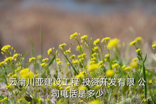 云南川亞建設工程 投資開發(fā)有限 公司電話是多少