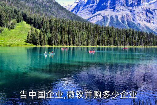 微軟告中國(guó)企業(yè),微軟并購多少企業(yè)