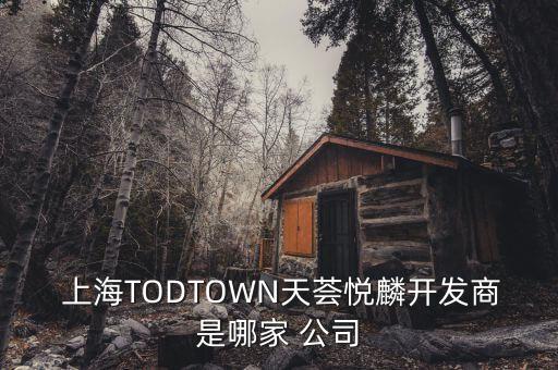  上海TODTOWN天薈悅麟開(kāi)發(fā)商是哪家 公司