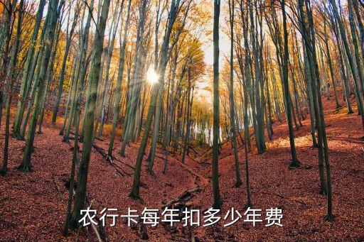 農行卡每年扣多少年費