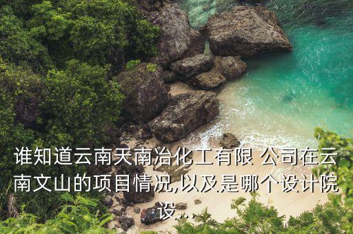誰知道云南天南冶化工有限 公司在云南文山的項目情況,以及是哪個設計院設...
