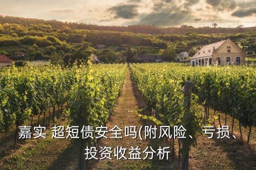 嘉實(shí) 超短債安全嗎(附風(fēng)險(xiǎn)、虧損、投資收益分析