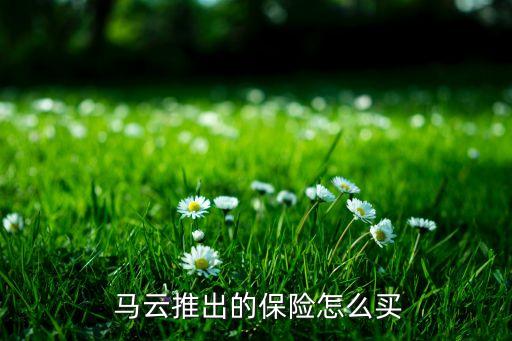  馬云推出的保險(xiǎn)怎么買(mǎi)