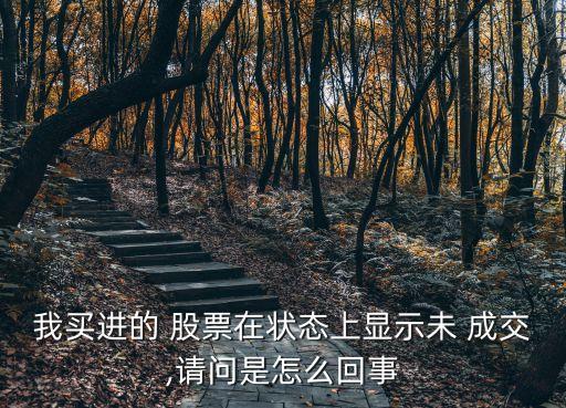 我買進(jìn)的 股票在狀態(tài)上顯示未 成交,請(qǐng)問是怎么回事