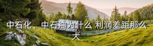 中石化、中石油為什么 利潤差距那么大