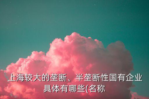  上海較大的壟斷、半壟斷性國有企業(yè)具體有哪些(名稱