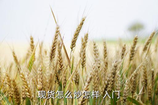 現貨怎么炒怎樣 入門
