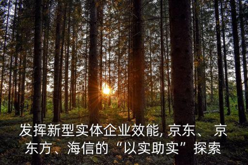 發(fā)揮新型實體企業(yè)效能, 京東、 京東方、海信的“以實助實”探索