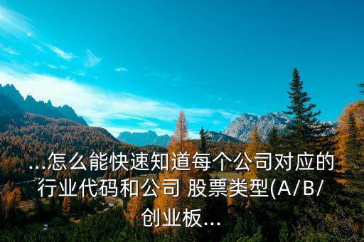...怎么能快速知道每個(gè)公司對應(yīng)的行業(yè)代碼和公司 股票類型(A/B/創(chuàng)業(yè)板...