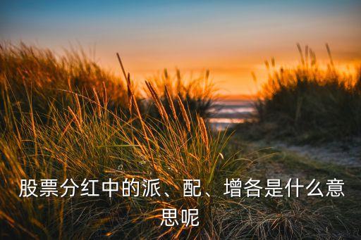  股票分紅中的派、配、增各是什么意思呢