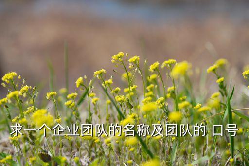 求一個(gè)企業(yè)團(tuán)隊(duì)的名稱及團(tuán)隊(duì)的 口號(hào)、