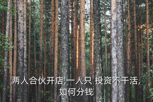 兩人合伙開(kāi)店,一人只 投資不干活,如何分錢