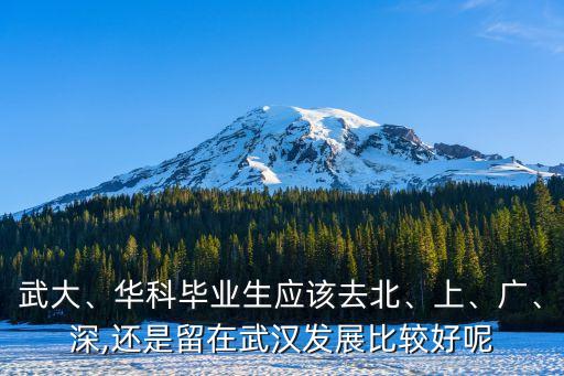 武大、華科畢業(yè)生應(yīng)該去北、上、廣、深,還是留在武漢發(fā)展比較好呢