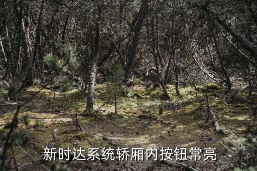  新時達系統(tǒng)轎廂內按鈕常亮