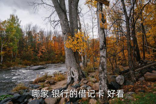 哪個銀行儲蓄卡最好看,國內哪個銀行儲蓄卡到國外最好用