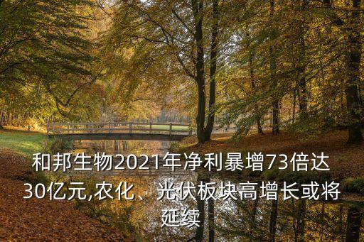 和邦生物2021年凈利暴增73倍達(dá)30億元,農(nóng)化、光伏板塊高增長(zhǎng)或?qū)⒀永m(xù)