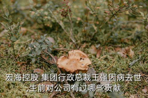 宏海控股 集團(tuán)行政總裁王強(qiáng)因病去世,生前對(duì)公司有過(guò)哪些貢獻(xiàn)