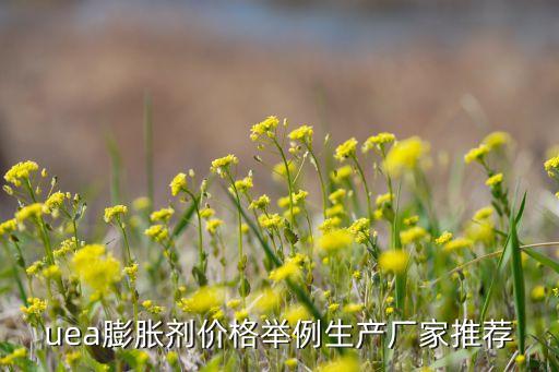 uea膨脹劑價(jià)格舉例生產(chǎn)廠(chǎng)家推薦